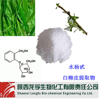 專業(yè)供應(yīng) 植物提取物 水楊甙 圖片_高清大圖 