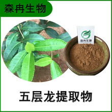 五層龍提取物