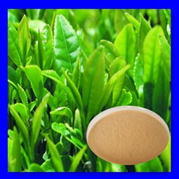 紅茶茶多酚 價格、型號規格與植物提取物特性詳解