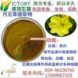 月見草提取物限時促銷，西安維特生物科技為您帶來純正植物精華